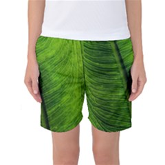 Green-leaf-plant-freshness-color Women s Basketball Shorts by Bedest