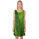 Green-leaf-plant-freshness-color Sleeveless Satin Nightdress View1