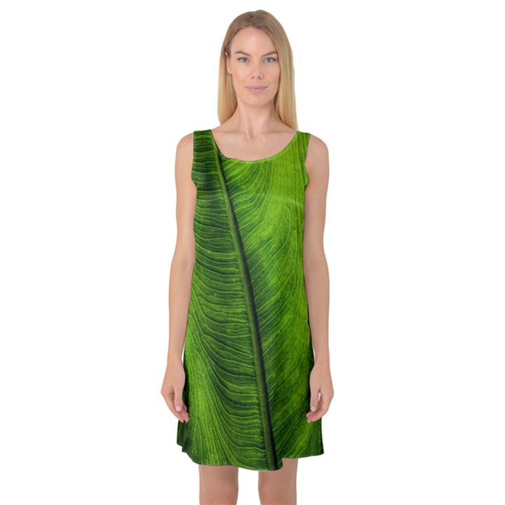 Green-leaf-plant-freshness-color Sleeveless Satin Nightdress