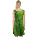 Green-leaf-plant-freshness-color Sleeveless Satin Nightdress View2