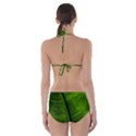 Green-leaf-plant-freshness-color Cut-Out One Piece Swimsuit View2