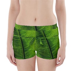 Green-leaf-plant-freshness-color Boyleg Bikini Wrap Bottoms by Bedest