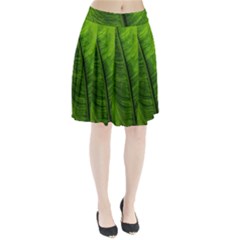 Green-leaf-plant-freshness-color Pleated Skirt by Bedest