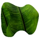 Green-leaf-plant-freshness-color Head Support Cushion View3