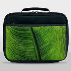 Green-leaf-plant-freshness-color Lunch Bag by Bedest