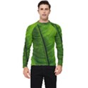 Green-leaf-plant-freshness-color Men s Long Sleeve Rash Guard View1