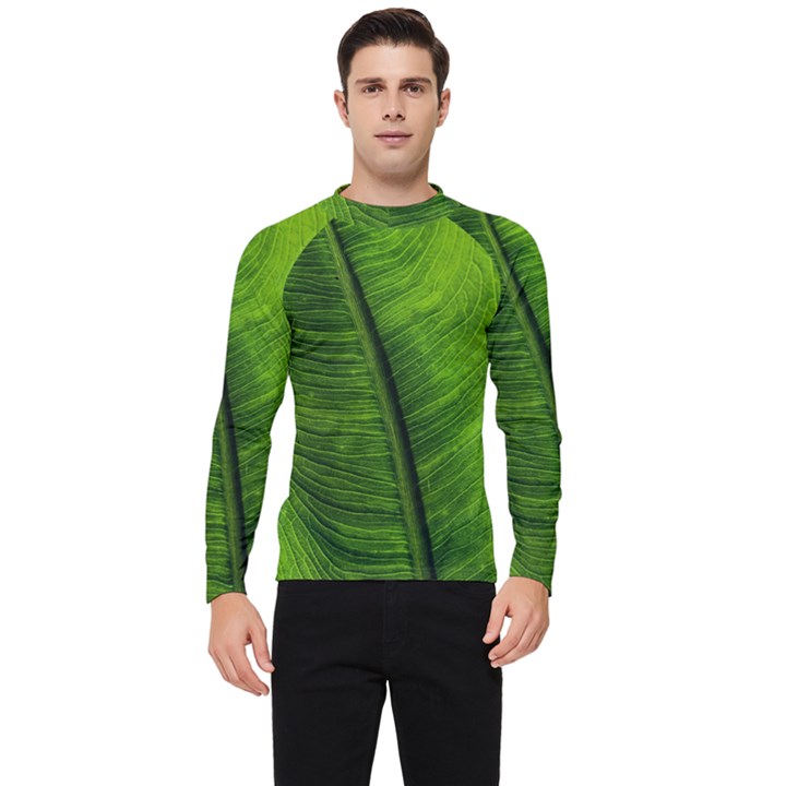 Green-leaf-plant-freshness-color Men s Long Sleeve Rash Guard