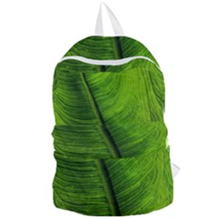 Green-leaf-plant-freshness-color Foldable Lightweight Backpack by Bedest