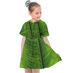 Green-leaf-plant-freshness-color Kids  Sailor Dress by Bedest