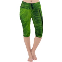 Green-leaf-plant-freshness-color Lightweight Velour Cropped Yoga Leggings by Bedest