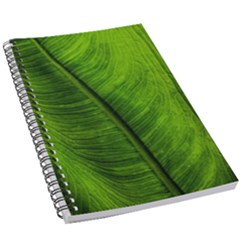 Green-leaf-plant-freshness-color 5 5  X 8 5  Notebook by Bedest