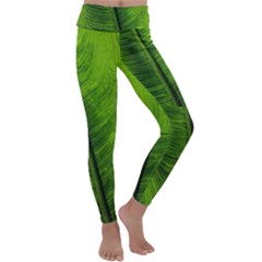 Green-leaf-plant-freshness-color Kids  Lightweight Velour Classic Yoga Leggings by Bedest