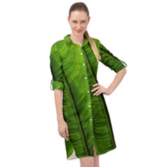 Green-leaf-plant-freshness-color Long Sleeve Mini Shirt Dress by Bedest