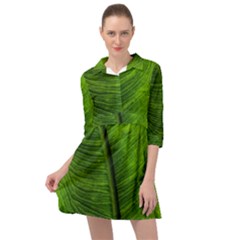 Green-leaf-plant-freshness-color Mini Skater Shirt Dress by Bedest