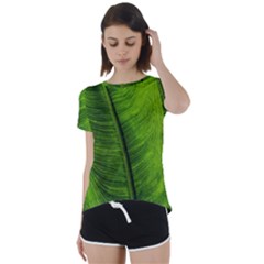 Green-leaf-plant-freshness-color Short Sleeve Open Back T-shirt by Bedest