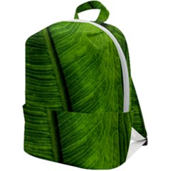 Green-leaf-plant-freshness-color Zip Up Backpack by Bedest