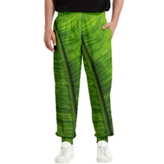 Green-leaf-plant-freshness-color Men s Elastic Waist Pants by Bedest