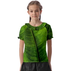 Green-leaf-plant-freshness-color Kids  Frill Chiffon Blouse by Bedest