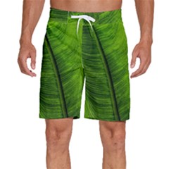 Green-leaf-plant-freshness-color Men s Beach Shorts by Bedest