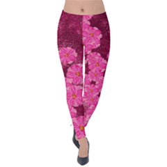 Cherry-blossoms-floral-design Velvet Leggings by Bedest