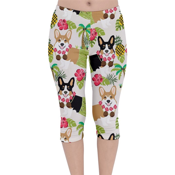 Corgis Hula Pattern Velvet Capri Leggings 