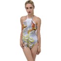 Phoenix Go with the Flow One Piece Swimsuit View1