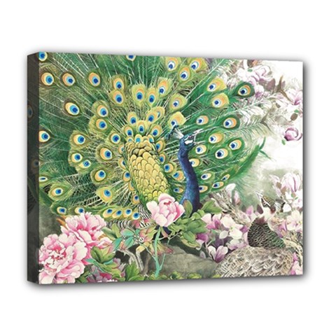 Peafowl Peacock Feather-beautiful Deluxe Canvas 20  X 16  (stretched) by Cowasu