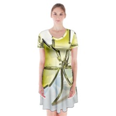 Life Is Beautiful And Green Short Sleeve V-neck Flare Dress by Humidesigner786