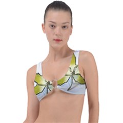 Life Is Beautiful And Green Ring Detail Bikini Top