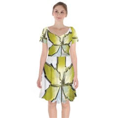 Life Is Beautiful And Green Short Sleeve Bardot Dress by Humidesigner786