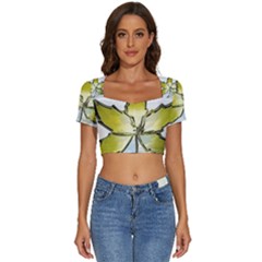 Life Is Beautiful And Green Short Sleeve Square Neckline Crop Top 