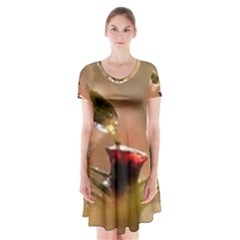 Images (27) Short Sleeve V-neck Flare Dress by Humidesigner786