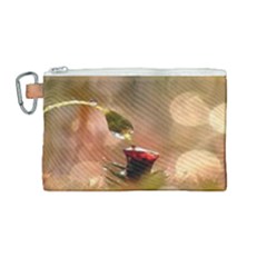 Images (27) Canvas Cosmetic Bag (medium) by Humidesigner786