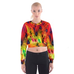 Color-background-structure-lines Cropped Sweatshirt