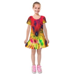 Color-background-structure-lines Kids  Short Sleeve Velvet Dress