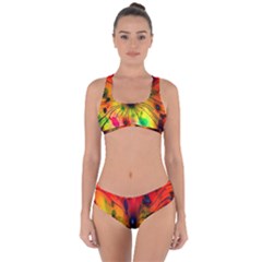 Color-background-structure-lines Criss Cross Bikini Set