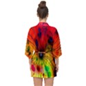 Color-background-structure-lines Half Sleeve Chiffon Kimono View2