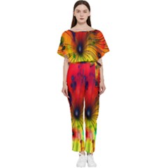 Color-background-structure-lines Batwing Lightweight Chiffon Jumpsuit by Cowasu