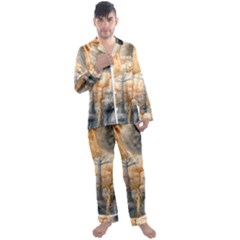 Garden Mushrooms Tree Flower Men s Long Sleeve Satin Pajamas Set by Bangk1t