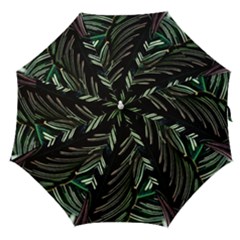 Calathea Leaves Strippe Line Straight Umbrellas by Ravend