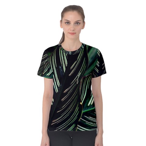 Calathea Leaves Strippe Line Women s Cotton T-shirt by Ravend