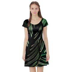 Calathea Leaves Strippe Line Short Sleeve Skater Dress by Ravend