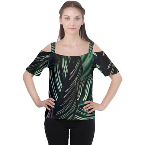 Calathea Leaves Strippe Line Cutout Shoulder T-shirt by Ravend