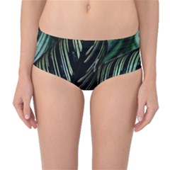 Calathea Leaves Strippe Line Mid-waist Bikini Bottoms by Ravend