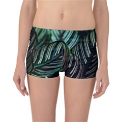 Calathea Leaves Strippe Line Reversible Boyleg Bikini Bottoms by Ravend