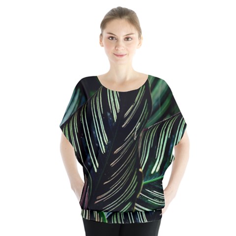 Calathea Leaves Strippe Line Batwing Chiffon Blouse by Ravend