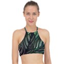 Calathea Leaves Strippe Line Halter Bikini Top View1