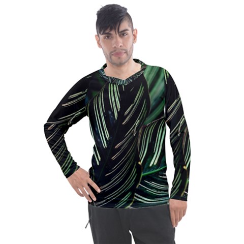 Calathea Leaves Strippe Line Men s Pique Long Sleeve T-shirt by Ravend