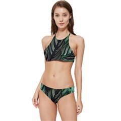 Calathea Leaves Strippe Line Banded Triangle Bikini Set by Ravend