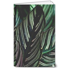 Calathea Leaves Strippe Line 8  X 10  Softcover Notebook by Ravend